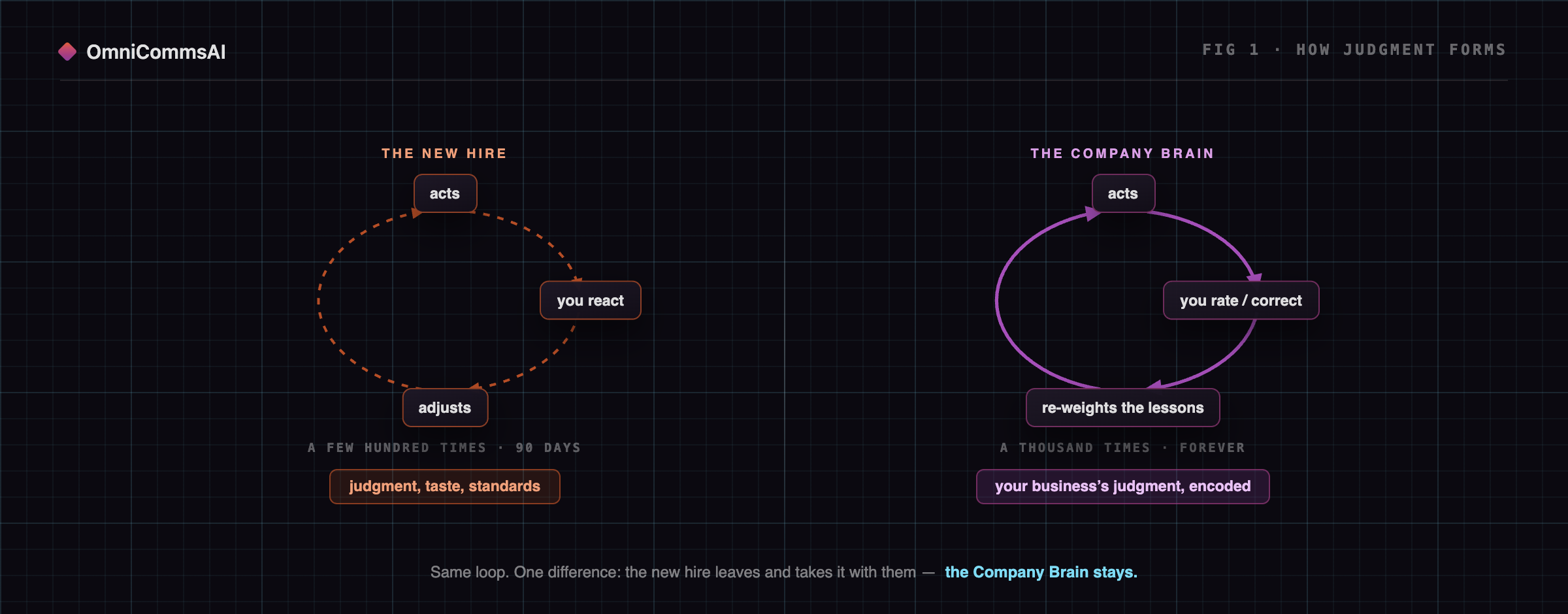Two side-by-side reinforcement loops. Left, labelled The New Hire: a dashed orange loop cycling through acts, you react, and adjusts, running a few hundred times over ninety days and producing judgment, taste and standards. Right, labelled The Company Brain: a solid purple loop cycling through acts, you rate or correct, and re-weights the lessons, running a thousand times forever and producing your business's judgment, encoded.